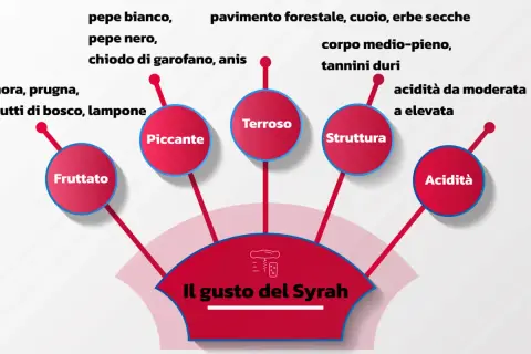 Il gusto del Syrah: fruttato, piccante, terroso, con struttura e acidità. Note di mora, pepe, spezie e sentori della valle del Rodano.