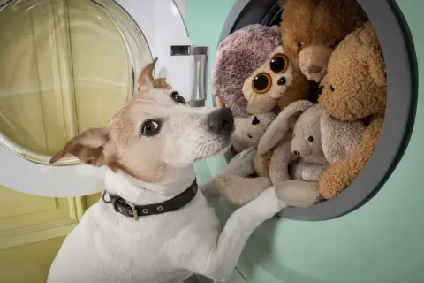 Jak wyczyścić pluszowego misia? Usuń roztocza i brud bezpiecznie!