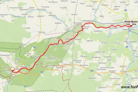 Spływ kajakowy Pilicą (Tomaszów Maz.): Trasy, ceny, planowanie