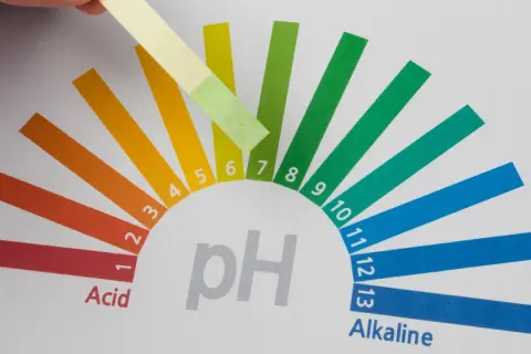 Bandelette réactive testant le ph de l'eau minérale, montrant un résultat légèrement alcalin, entre 6 et 7.