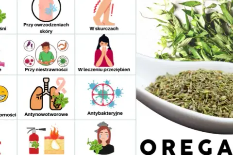 Czym zastąpić suszone oregano? Sprawdzone zamienniki, które zaskoczą