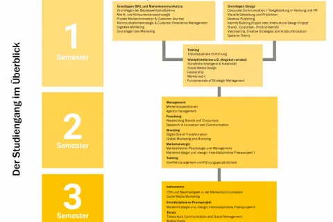 Studienübersicht für ein Brand Manager Studium: Module für Bachelor Design und BWL, aufgeteilt in 3 Semester, mit Fokus auf Marketing, Branding und strategischem Management.