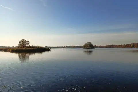 Spokojne wody Stawów Milickich, idealne na rowerowe wycieczki. Wyspa z drzewem odbija się w tafli.