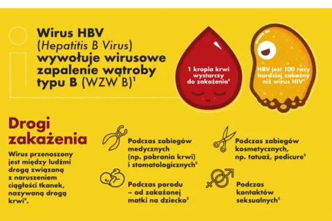 Wirus HBV wywołuje zapalenie wątroby typu B (WZW B). Zakażenie może nastąpić podczas zabiegów medycznych, kosmetycznych, porodu lub kontaktów seksualnych.
