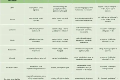 Tabela podpowiada, czym pryskać drzewa owocowe na wiosnę, uwzględniając gatunek, choroby, terminy i fazy rozwojowe.