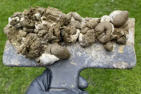 Ein Handschuh hält eine Schaufel mit Hühnerkot. Der Kot ist feucht und hat eine gelbliche Farbe, gemischt mit weißem Material.