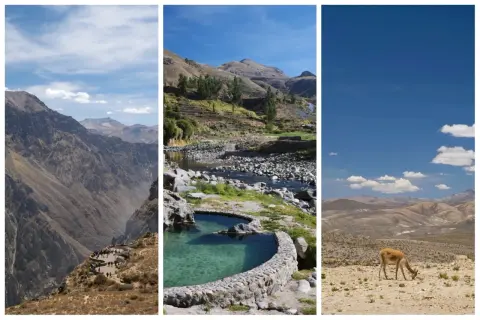 Trois vues du canyon de Colca : falaises vertigineuses, sources chaudes et un lama dans un paysage aride.