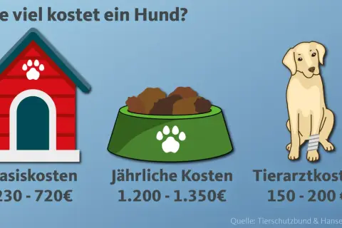 Grafik zeigt, wie viel kostet ein Hund: Hundehütte (Basiskosten 230-720€), Futter (jährlich 1.200-1.350€) und ein Hund mit Verband (Tierarztkosten 150-200€).