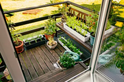 Balkon z doniczkami pełnymi ziół i warzyw, konewka i drewniana ławka.