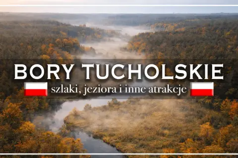 Mglisty poranek nad lasami Bory Tucholskie. Ciekawostki o szlakach, jeziorach i atrakcjach tego pięknego regionu.