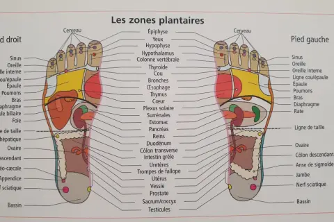 Carte des zones réflexes du pied droit en médecine chinoise, montrant les correspondances avec les organes et parties du corps.