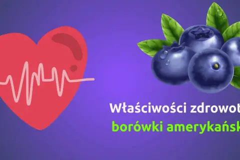 Serce z EKG i borówki amerykańskie. Dowiedz się, jakie witaminy mają borówki i jak wpływają na zdrowie.