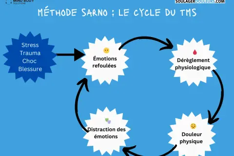 Schéma du cycle TMS : Stress, émotions refoulées, dérèglement physiologique, douleur physique, distraction des émotions. Une approche pour une meilleure hygiène de vie.