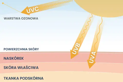 Promieniowanie ultrafioletowe UVA i UVB dociera do skóry, UVC jest blokowane przez warstwę ozonową.