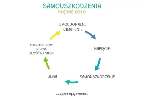 Błędne koło samouszkodzenia: cierpienie emocjonalne prowadzi do napięcia, które skutkuje samouszkodzeniem, dając chwilową ulgę, ale potem wraca poczucie winy, wstydu i złości na siebie. To samospełniająca się przepowiednia.