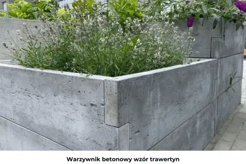 Sekrety pięknego tarasu: Rośliny do dużych donic na lata!