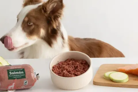 Perro curioso olisquea ingredientes para dieta barf cachorros: salmón, calabaza, manzana, calabacín y brócoli.