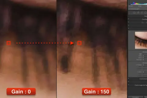 Comparaison de photo détail : gain 0 vs gain 150. Le gain augmente la netteté, mais peut aussi introduire du bruit.