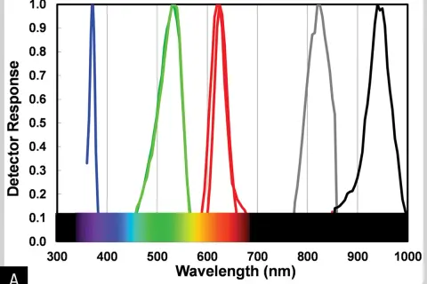 Graph showing detector response vs. wavelength, illustrating the led light color meaning for blue, green, red, and infrared LEDs.