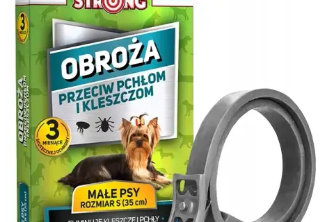 Najlepsze obroże przeciwpchelne dla psa – uniknij nieprzyjemności z pchłami
