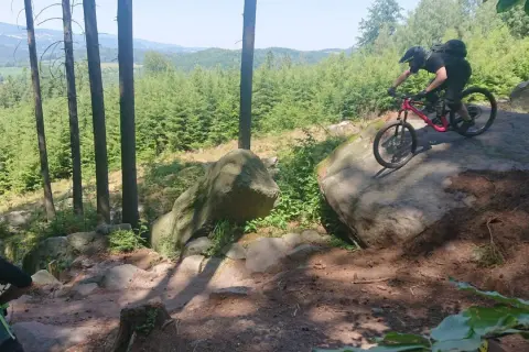 Mountainbiker meistert felsige, schnelle Trails in einem sonnigen Wald.
