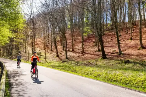 Två personer cyklar på en asfalterad väg genom en lummig skog. Solen lyser genom träden och skapar ett vackert mönster på marken. En idyllisk scen som visar upp Sveriges vackra cykelleder.