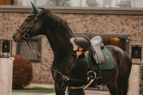 Eleganckie nauszniki zdobią głowę ciemnego konia, gotowego do jazdy. Obok stoi jeźdźczyni w kasku.
