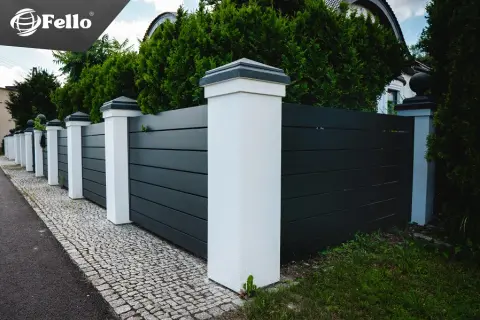 Tuja Brabant ile od płotu? Poznaj kluczowe zasady sadzenia
