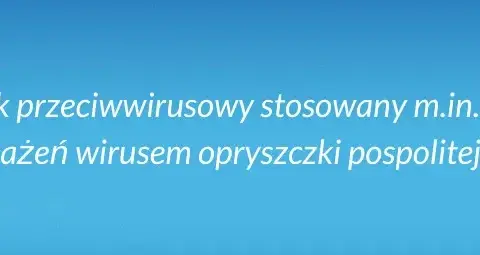 Heviran a alkohol - co warto wiedzieć przed połączeniem?