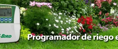 Cómo elegir un programador de riego sencillo para un jardín sin complicaciones