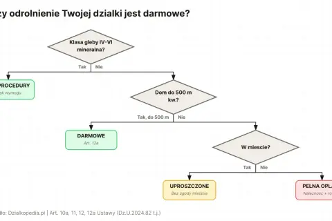 Schemat decyzyjny: czy odrolnienie działki jest darmowe? Sprawdź, czy Twoja działka kwalifikuje się do procedury bezpłatnej.