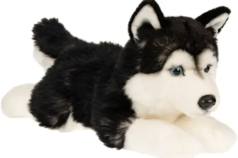 Najlepsze zabawki husky: interaktywne, pluszowe i ich ceny