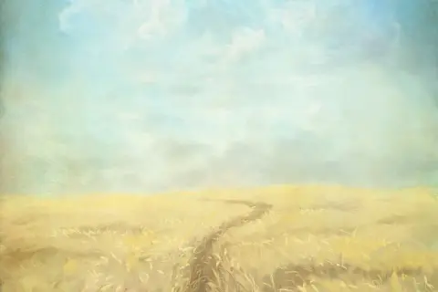 Camino en un campo dorado bajo un cielo azul y nublado. "Yo soy el que soy", dice la naturaleza.