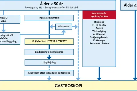 Flödesschema för utredning av magproblem. Vid misstanke om helicobacter pylori kan ett "TEST & TREAT" göras.