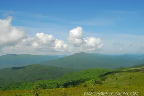 Zielone wzgórza Bieszczadów pod błękitnym niebem z chmurami. Daleko widać kolejne pasma górskie.