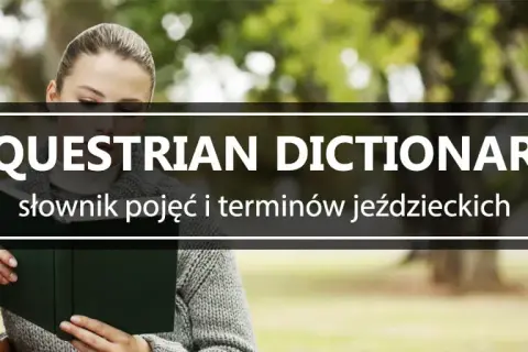 Synonimy jeździectwa – poznaj alternatywne wyrażenia i ich znaczenie