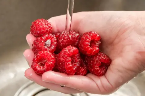 Dłoń z malinami pod strumieniem wody. To pokazuje, czy maliny się myje przed jedzeniem.