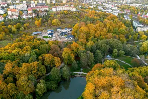 Jesienny widok na park Oruński w Gdańsku. Złote liście drzew otaczają staw, a w oddali widać zabudowania.