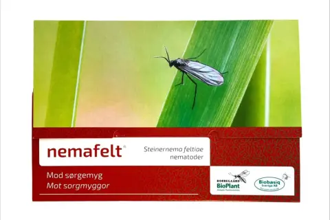 NemaFelt-förpackning med en sorgmygga på ett blad. Produkten innehåller nematoder som bekämpar sorgmyggor.