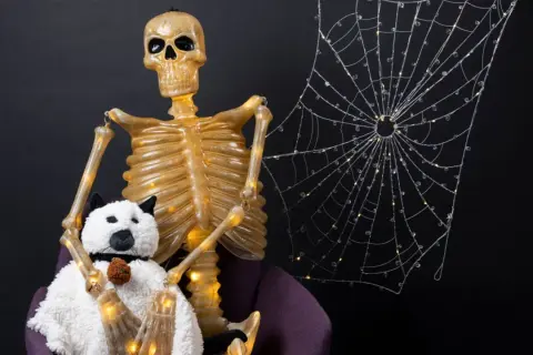 A skeleton with a plush dog, perfect for spooky halloween decorating ideas indoor. A light-up spiderweb adds to the eerie ambiance.