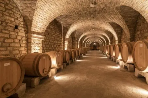 Allées voûtées d'une cave à vin à Beaune, remplies de rangées de fûts en bois. Une visite de cave Beaune inoubliable.