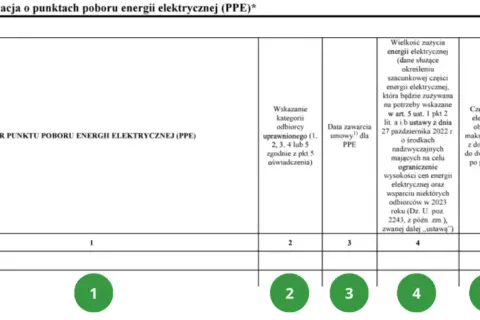 Jak wypełnić oświadczenie odbiorcy końcowego energii elektrycznej bez błędów?