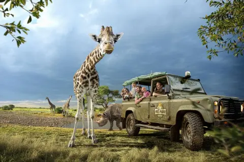 En familj på safari i Danmark möter en nyfiken giraff. En noshörning syns i bakgrunden.