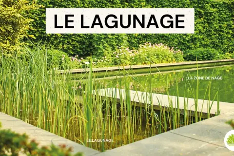 Un bassin de lagunage naturel avec des roseaux et une zone de nage. Le lagunage est une méthode écologique pour traiter l'eau.
