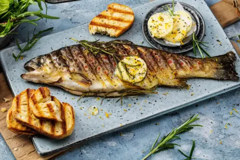 Perfekt gegrillte Forelle mit Rosmarin, Zitronenscheiben und geröstetem Brot. Ein Genuss für alle Sinne!
