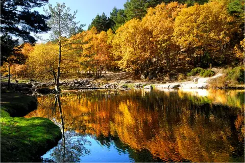 Reflejos dorados de otoño en un lago sereno en Rascafría, Madrid.