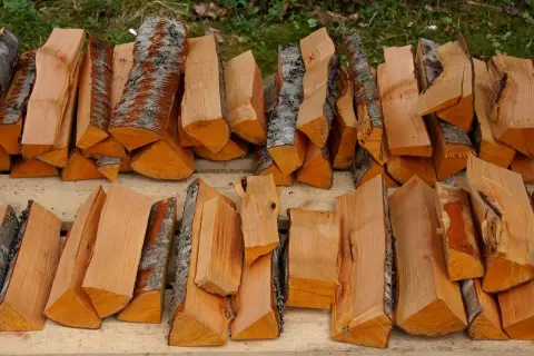 Leña apilada, lista para la chimenea. ¿Cuál es la mejor leña para chimenea? Esta madera de tonos cálidos promete un fuego acogedor.