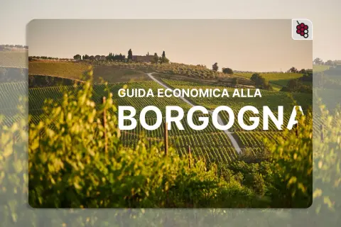 Vigneti rigogliosi sotto il sole, con un casolare in collina. Guida economica alla Borgogna, per scoprire i suoi vini.