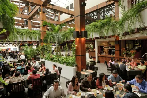 Gente disfrutando en un restaurante con mucha vegetación. Un lugar ideal donde comer en San José, Almería, con ambiente tropical.