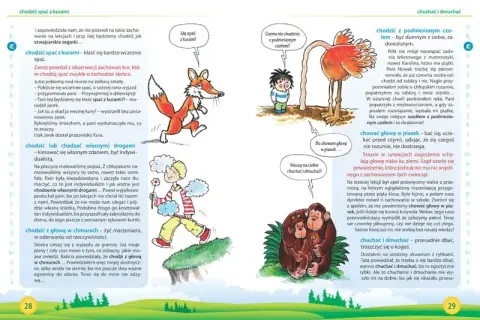 Ośle uszy frazeologizm – co naprawdę oznacza i jak go używać?